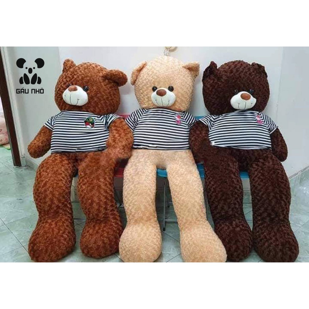 Gấu Teddy Siêu To Khổng Lồ 1M5 - 1M8 - Shop Gấu Nhỏ