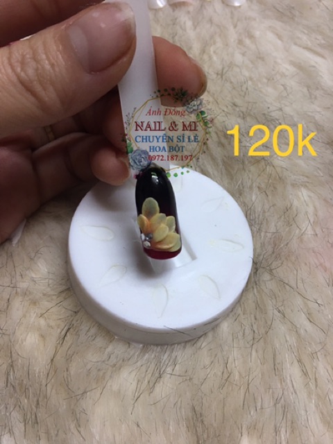 Trọn bộ khuôn hoa bột nail