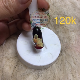 Trọn bộ khuôn hoa bột nail
