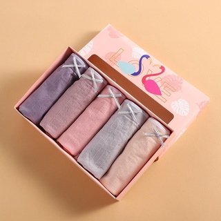 Sét 5 Quần Lót Size Lớn