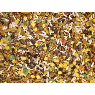 Thức ăn yummy cho hamster 500g