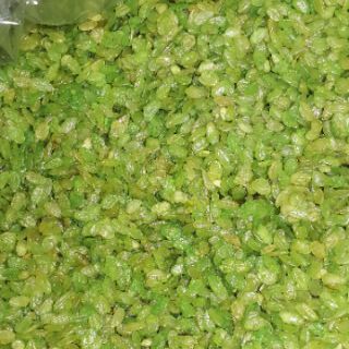 Cốm xanh khô 1kg