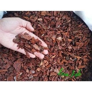 Vỏ thông dạng ngô/bắp túi 1 kg