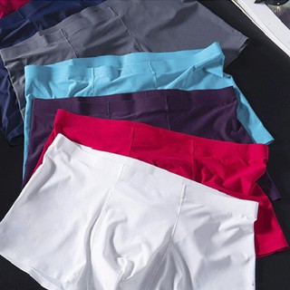 Quần lót nam thun lạnh nhật bản, quần sịp đúc không đường may không viền-gauteddy486