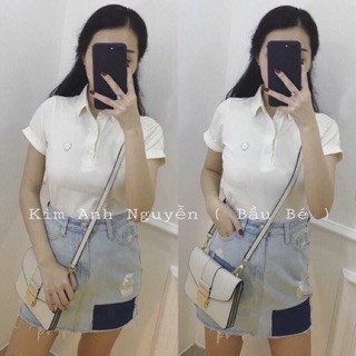 Áo phông cps- áo phông trơn