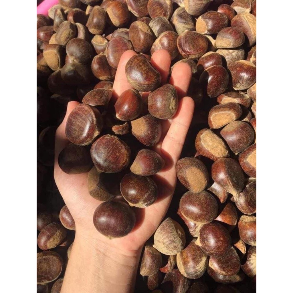 HẠT DẺ SỐNG 1KG