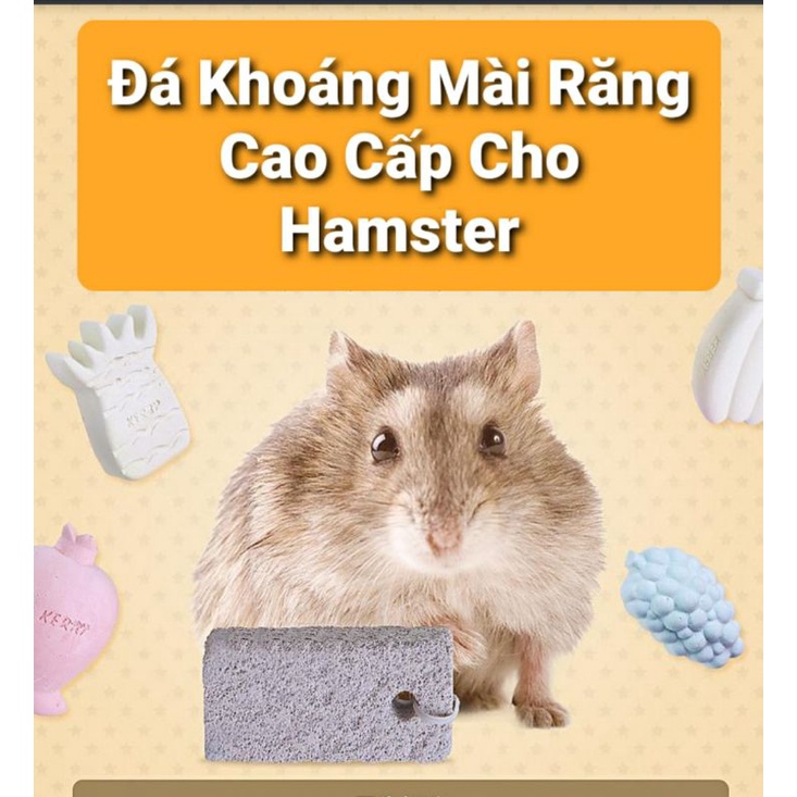 Đá khoáng mài răng cho hamster và thú cưng nhỏ