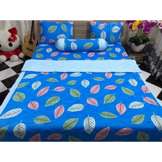 ga lẻ size 1m6x2m