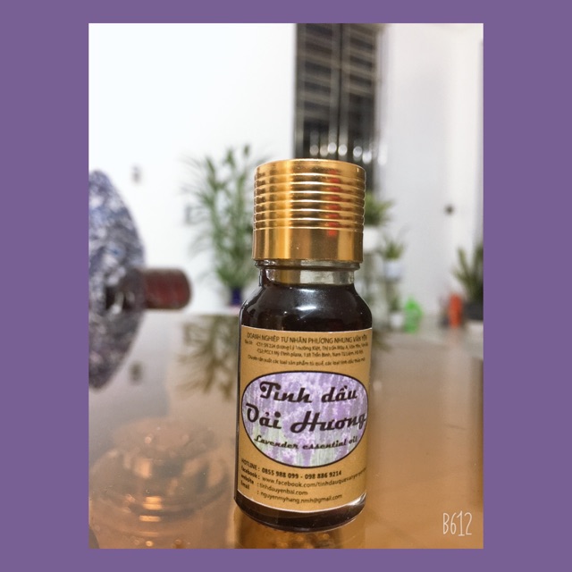 Tinh dầu oải hương: 10ml