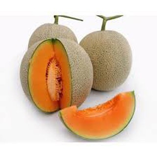 100 hạt giống dưa lưới xanh