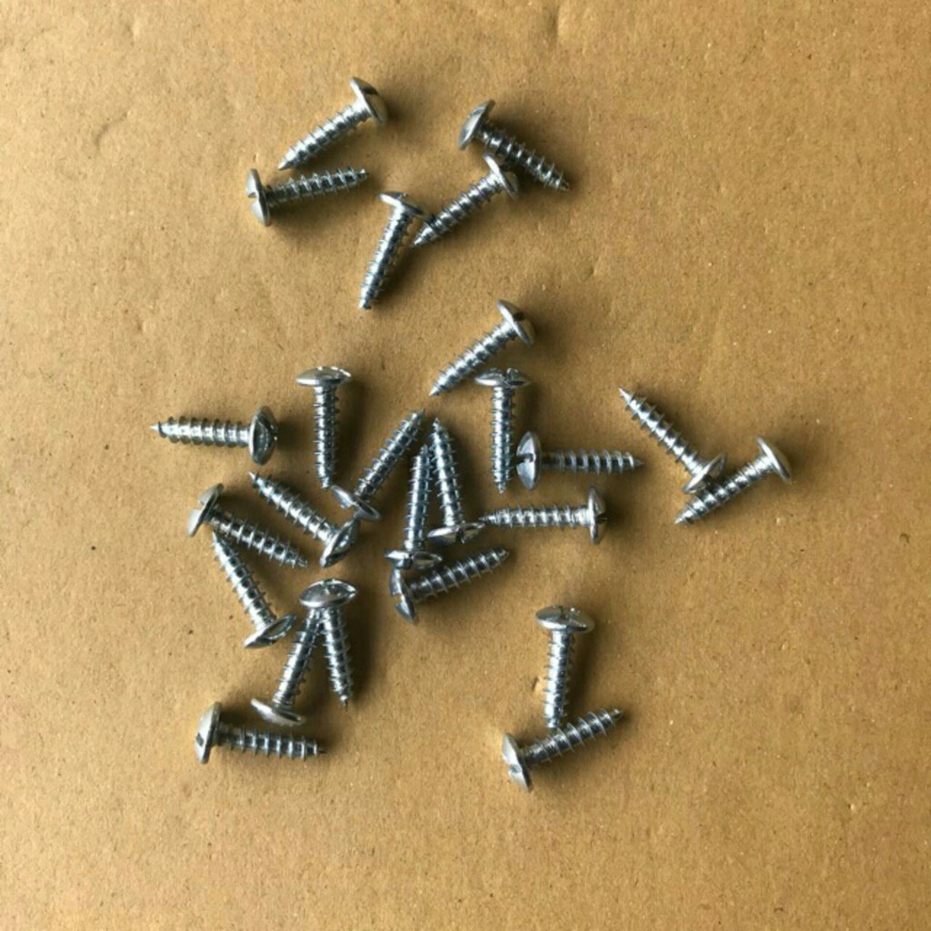 Ốc Vít Bắt Nắp Ly 5*20 [12 CON]
