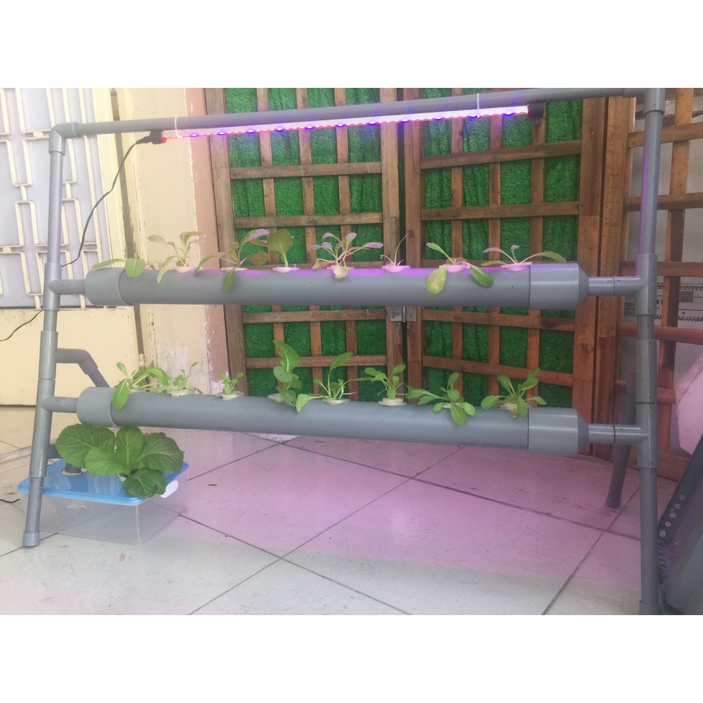 Giàn trồng rau thủy canh hồi lưu 2 tầng