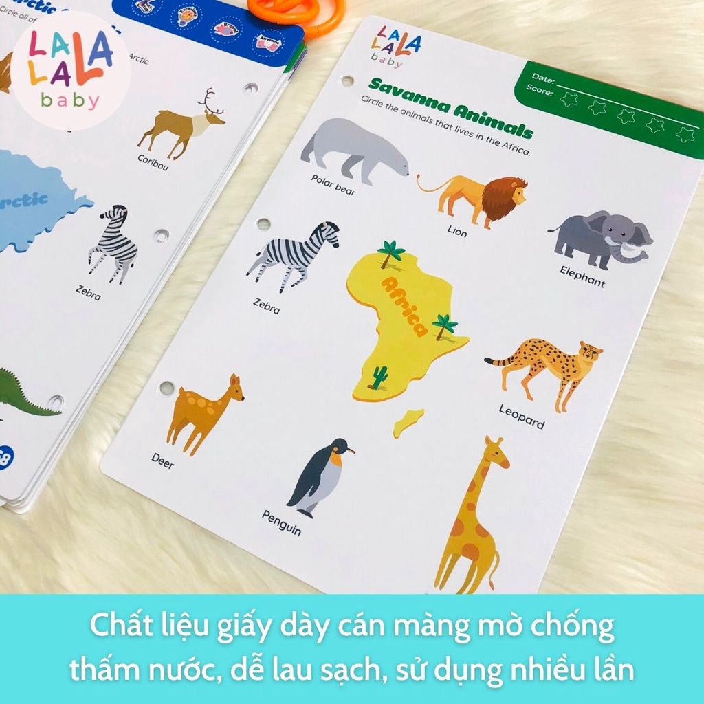 Bộ tập tô vẽ chữ số thông minh cho bé xóa được học liệu giáo dục sớm hàng made in Việt Nam