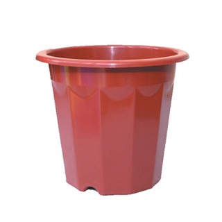 COMBO 10 CHẬU E300- 26*17*23CM