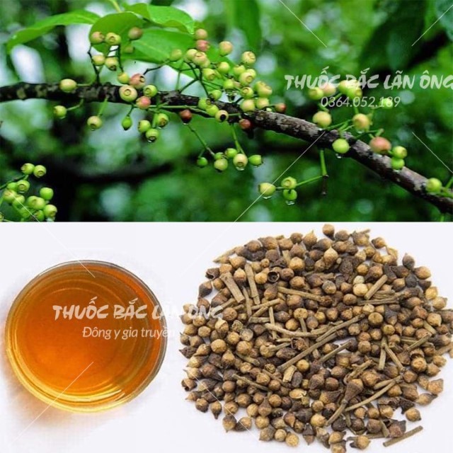 500g Nụ Vối Sạch