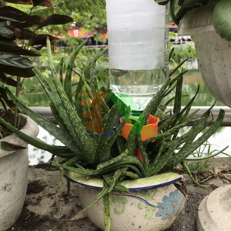Bộ 12 Que cắm tưới lắp chai nhựa pet C-08, Đầu tưới nắp chai pet, Nhỏ giọt điều chỉnh lưu lượng