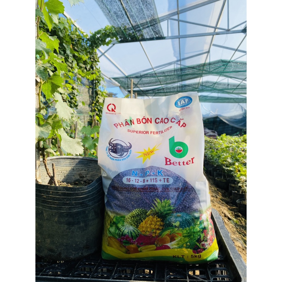 Phân bón NPK đầu trâu tím 16-12-8+11s+TE cao cấp 5kg PB11