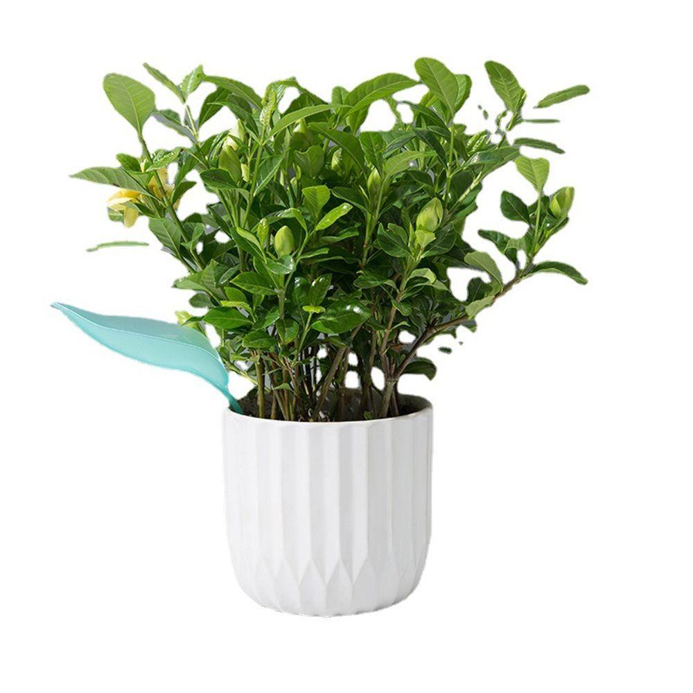 Phễu Nhỏ Giọt Tưới Cây Trong Nhà / Ngoài Trời
