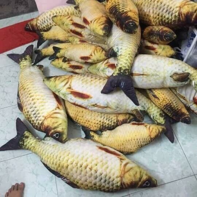 Com bo Gối ôm cá chép 1,2m