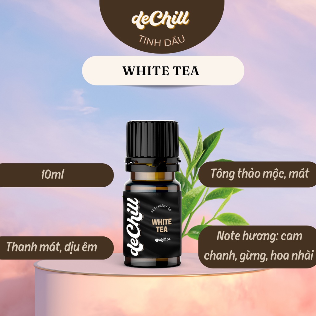 Tinh dầu thơm tự nhiên nhập khẩu Mỹ Dechill BAY CONCEPT 10ml chuyên làm nến, xông phòng thư giãn