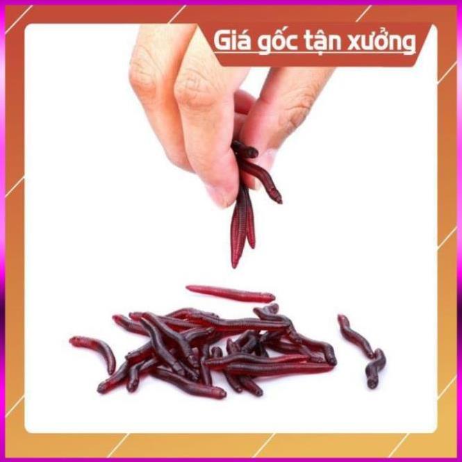 ⭐  Mồi Giun Giả Siêu Nhậy Không Có Hóa Chất Siêu Bền