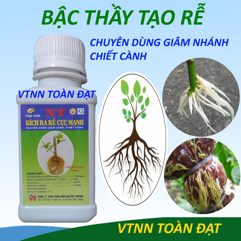 Hợp Chất Ra Rễ NT chai 100ml, Phân bón kích rễ cực mạnh, chuyên dùng hoa hồng, cây kiểng