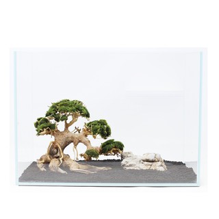 Lũa Bonsai mini cho bể cá thủy sinh 25x20