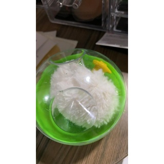 Hộp đựng phấn rôm cho bé, kèm bông chậm phấn (màu sắc ngẫu nhiên cho bé trai, bé gái)