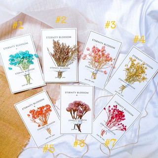 Thiệp Eternity Blossom