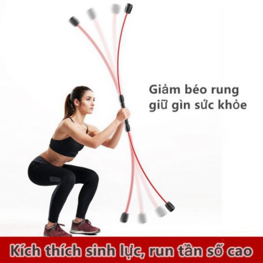 🔥Gậy Feilishi / Phyllis Fitness Stretch Bar đa chức năng gậy tập / gậy felice sức bền cầm tập thể dục giảm cân rung độn