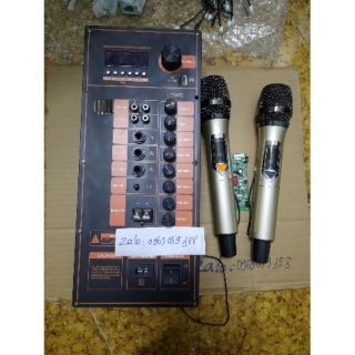 Trọn Bộ Mạch Loa Kéo Bass 30 -40  Kèm 2 Tay Micro(Màu Mạch Ngẫu Nhiên )