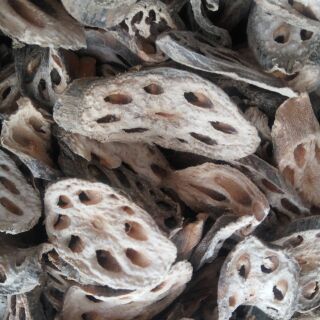 trà củ sen rang củi