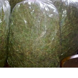 lá sài đất khô 500g