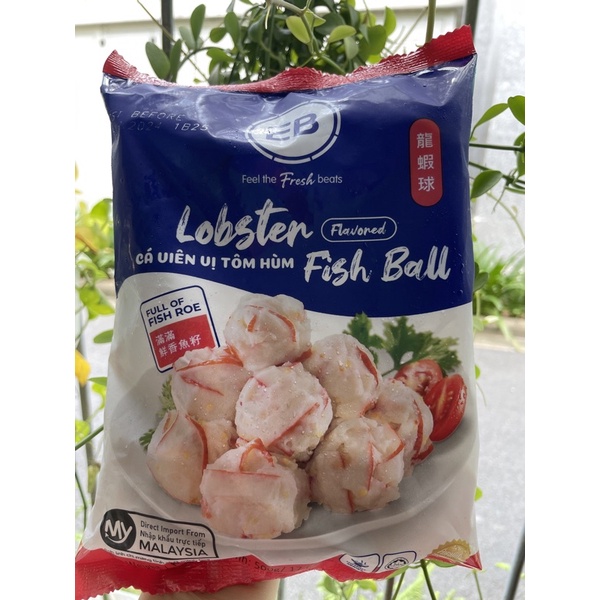 Tôm hùm viên Malai 500gr/20 viên