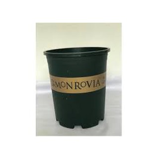 Sale off combo 10 chậu Chậu Nhựa Trồng Cây Cao Cấp Monrovia 5GAL (chậu 5gallon) cực đẹp.