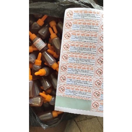 Lọ Diệt Kiến Dán côn trùng sinh học / diệt kiến dán An Toàn Hiệu Quả