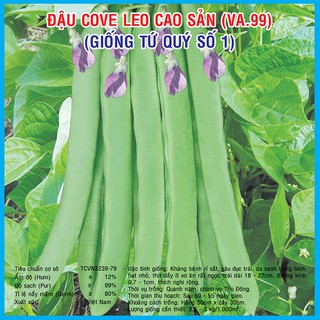 50gr - Hạt giống đậu Cove leo cao sản (Giống tứ quý số 1)