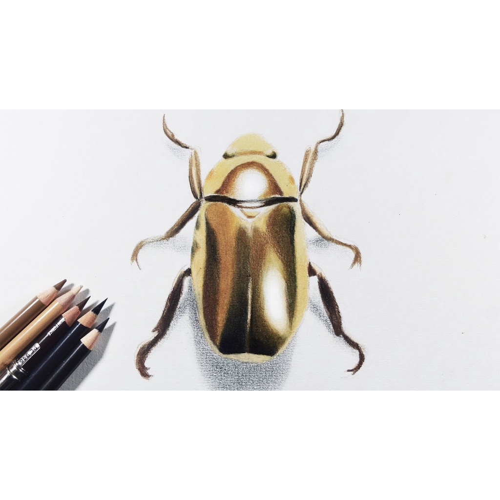 - Bút chì màu PRISMACOLOR Premier Soft Core - Tone Ánh Kim