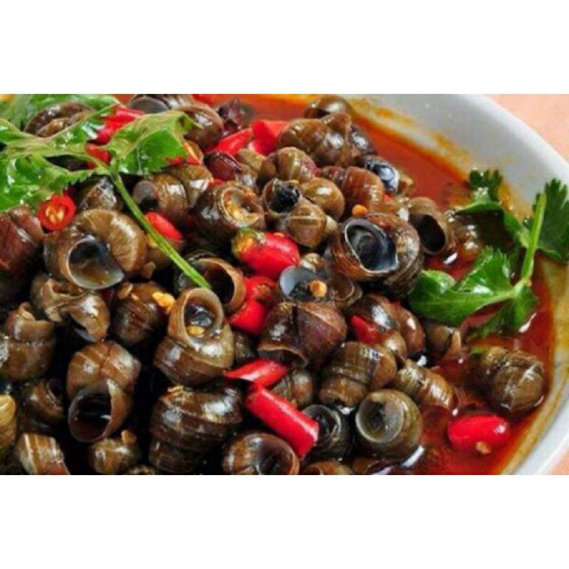 Ớt Nguyên Quả Sấy Khô Đã Bẻ Cuống 1kg