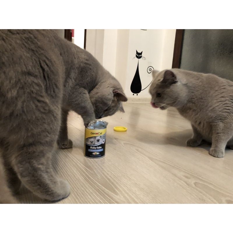 [ 40g ] GimCat Kitten Tabs tăng đề kháng,dưỡng lông,bổ sung các chất cần thiết cho mèo con