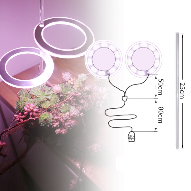 Đèn Led Kích Thích Tăng Trưởng Thực Vật DC5V USB
