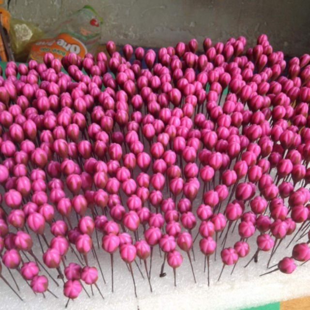 Gốc gốc nhỏ