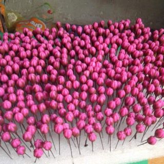 Gốc gốc nhỏ