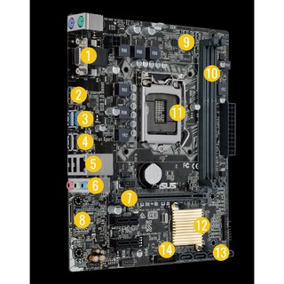 Main asus H110