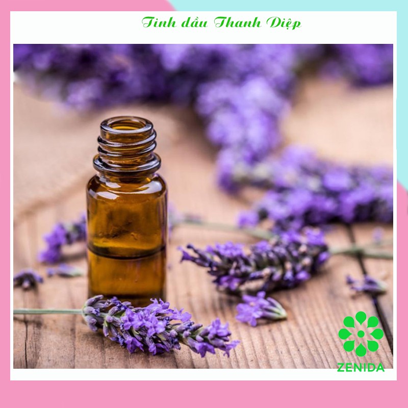 Combo 3 lọ tinh dầu oải hương Pháp Thanh Diệp 10ml nguyên chất  I Có kiểm nghiệm OH1CB3
