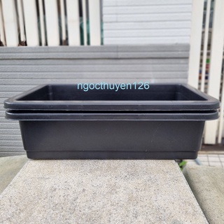 Bộ 02 chậu nhựa dày trồng rau sạch có lưới lót size lớn 65x42x16cm