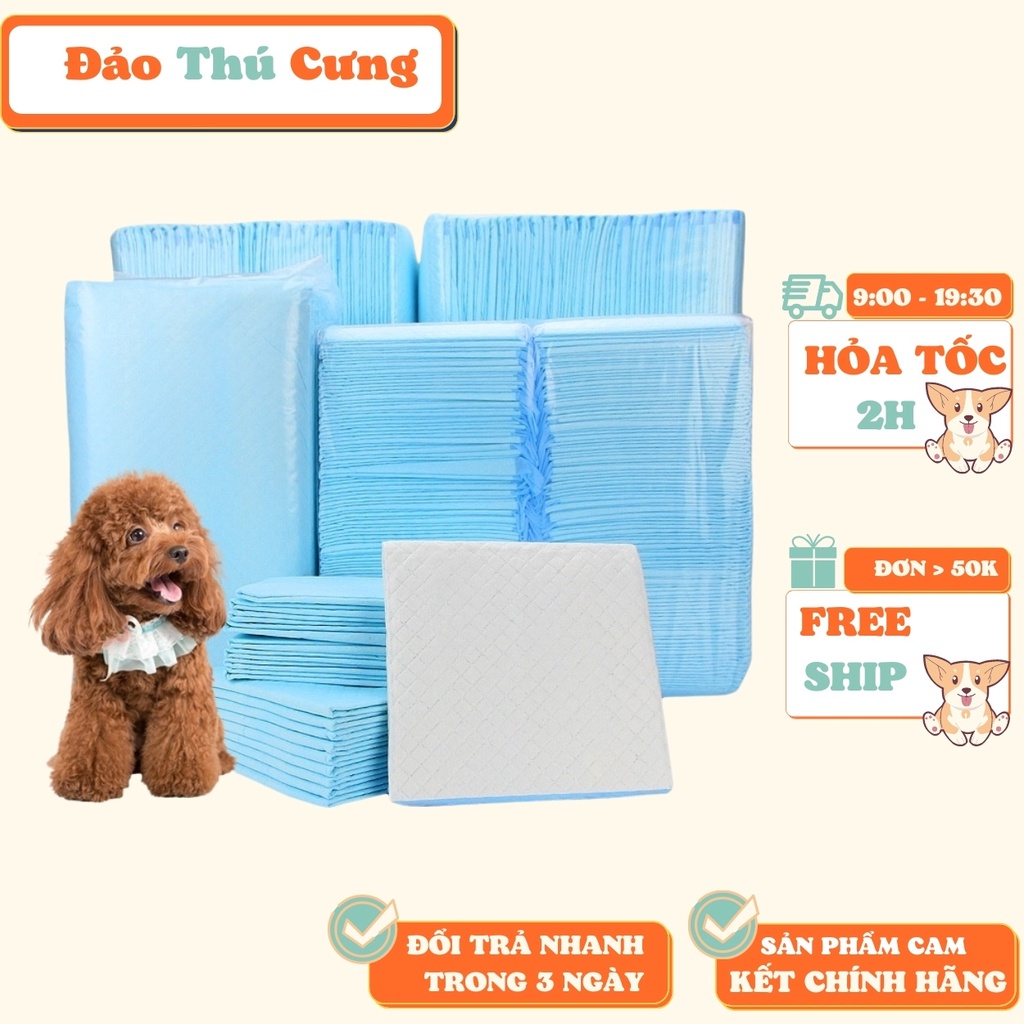 Tã Lót Chuồng Siêu Thấm, Siêu Thoáng Cho Chó Mèo