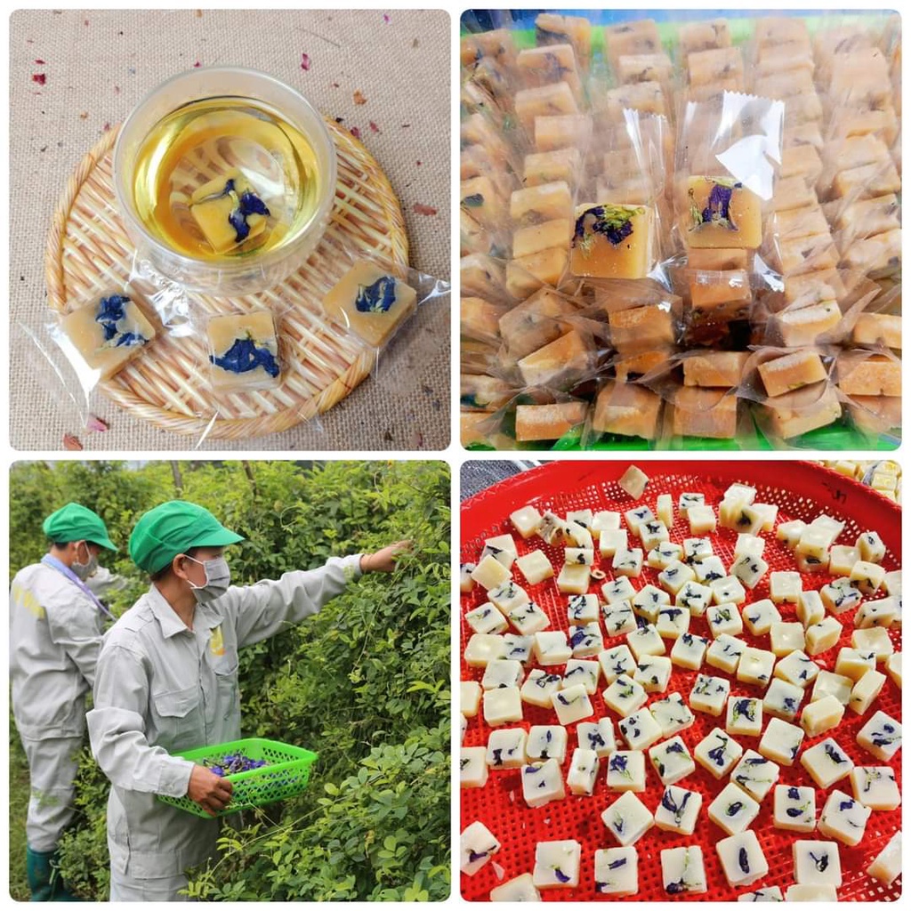 Trà hoa viên Thảo mộc Đường phèn đủ vị - 1 viên