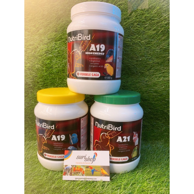 Bột A19/A21 hũ nguyên seal 800g cho chim vẹt