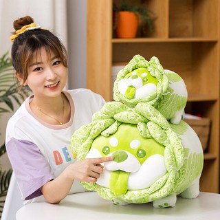 Gấu bông chó shiba bắp cải Vegetable Fairy siêu dễ thương kích thước 30-50-60cm NEOCI